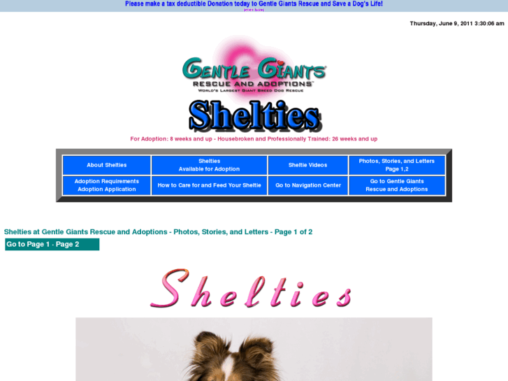 www.gentlegiantsrescue-shelties.com