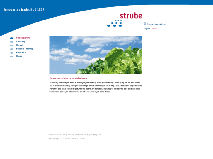 www.strube.pl