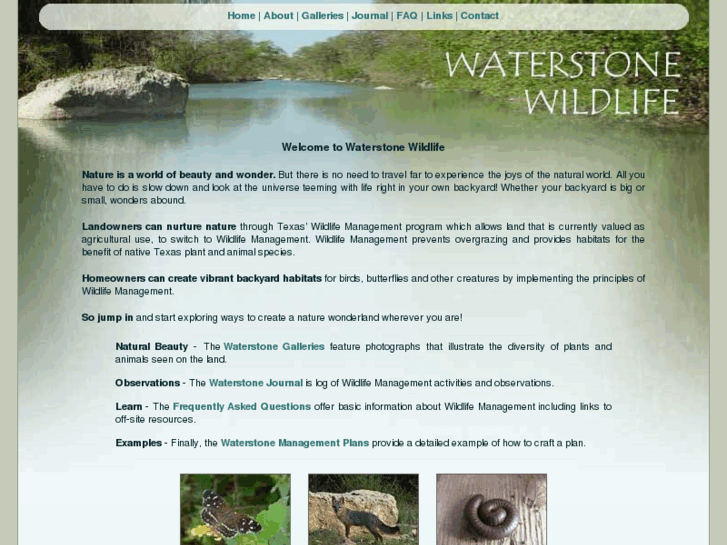 www.waterstonewildlife.com