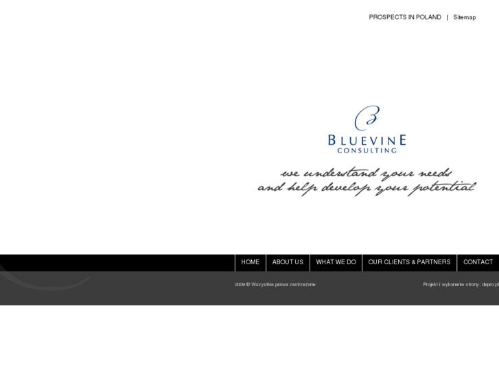 www.bluevine.pl