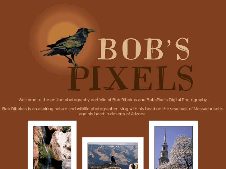 www.bobspixels.com