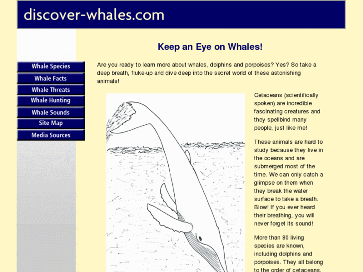 www.discover-whales.com