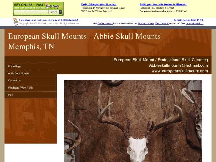 www.europeanskullmount.com