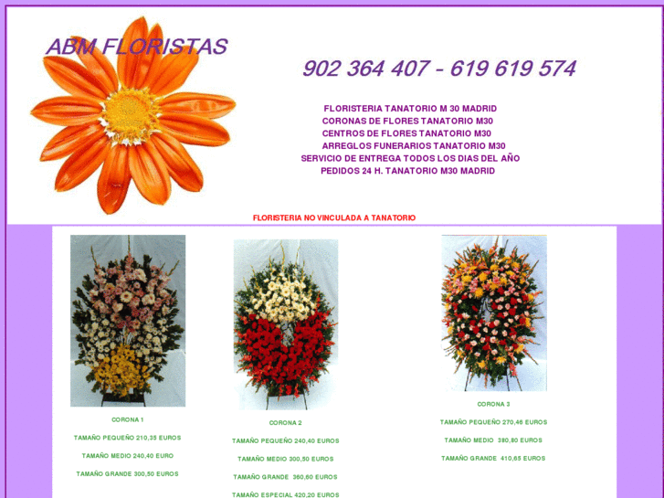 www.floristeriatanatoriom-30.org.es