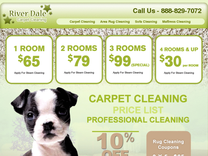 www.riverdale-carpetcleaning.com