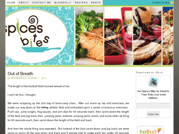 www.spiceaholic.com