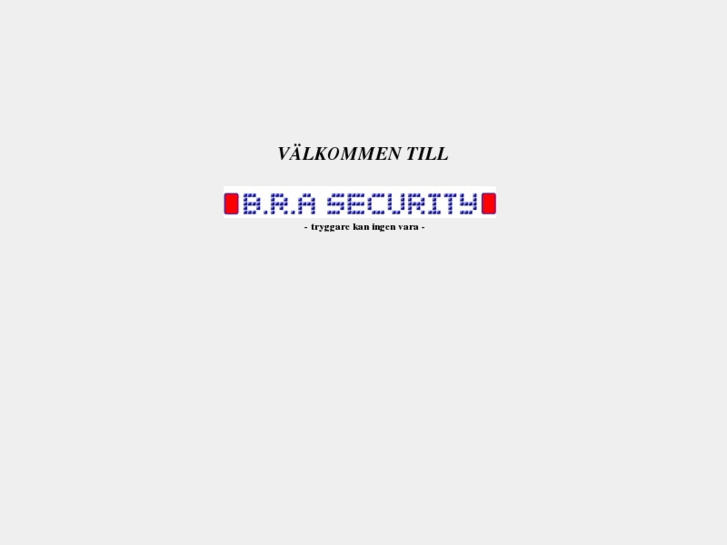 www.brasecurity.com