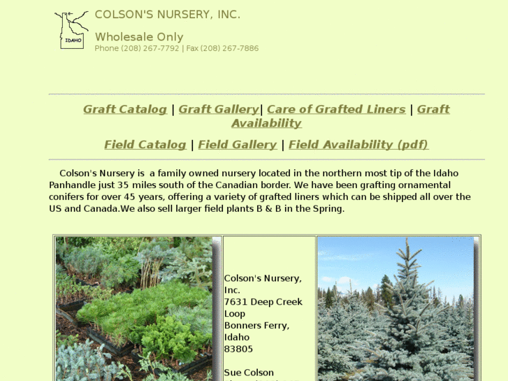 www.colsonsnursery.com