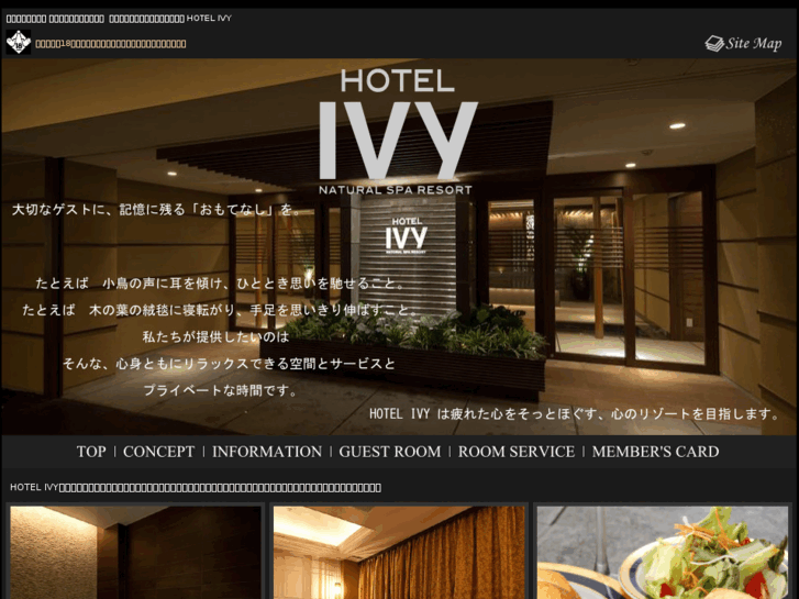 www.hotel-ivy.com