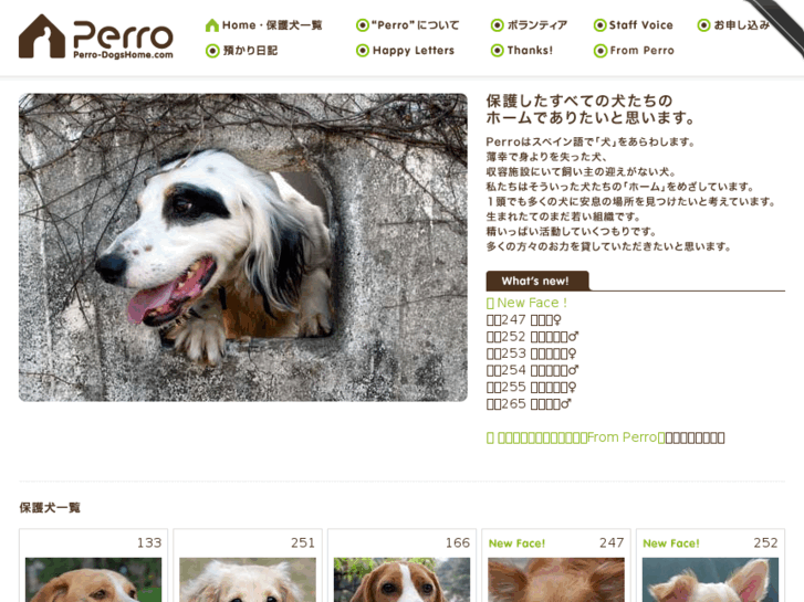 www.perro-dogshome.com