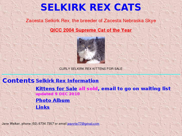www.selkirkrexcats.com