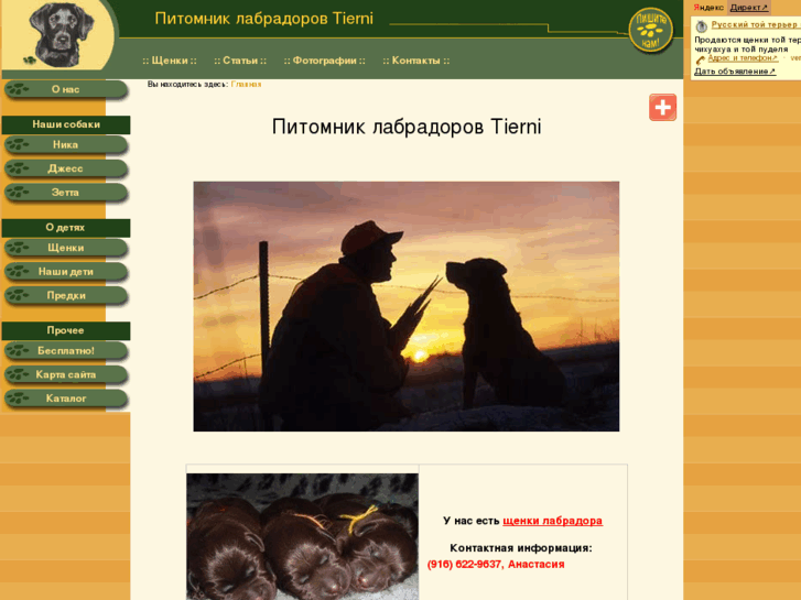 www.tierni.info