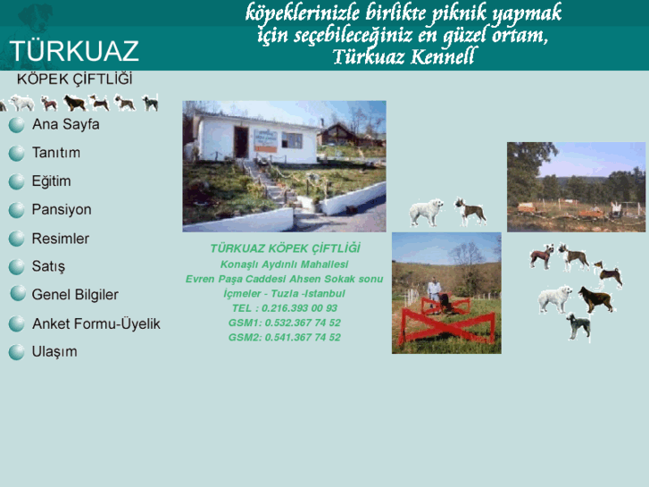 www.turkuazkennel.com