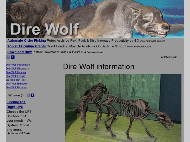 www.dire-wolf.net
