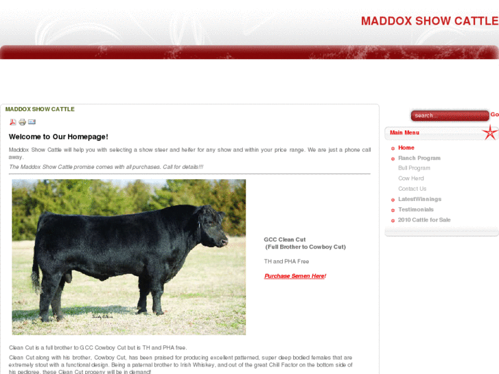 www.maddoxshowcattle.com