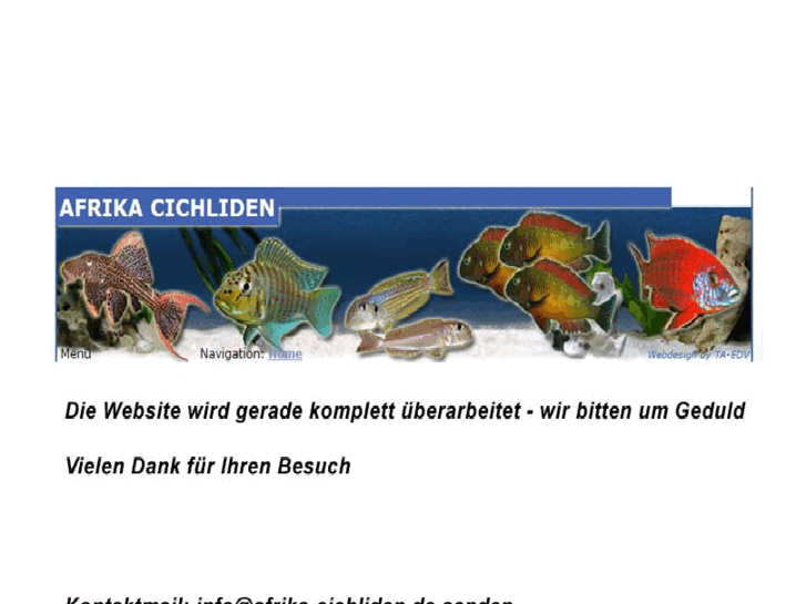 www.afrika-cichliden.com