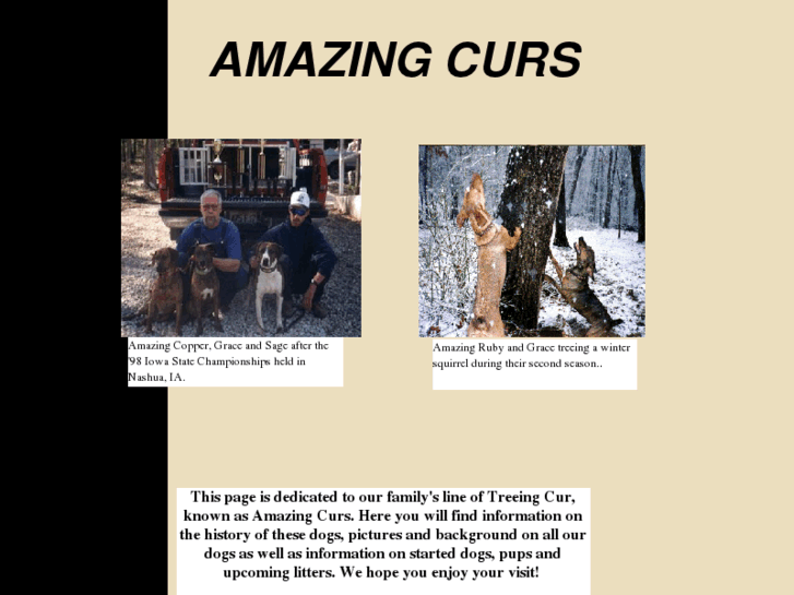 www.amazingcurs.com