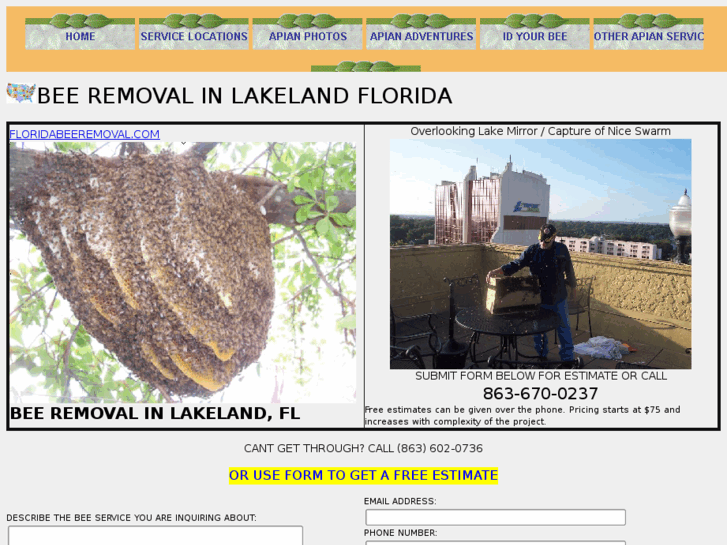 www.beeremovalinlakelandflorida.com