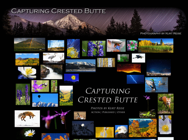 www.capturingcrestedbutte.com