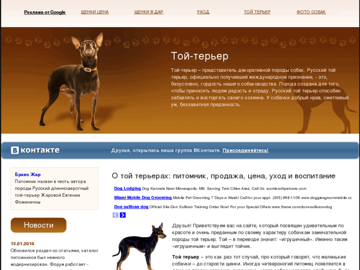 www.dog-toyter.ru