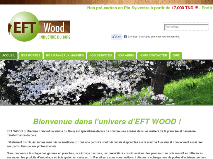 www.eftwood.com