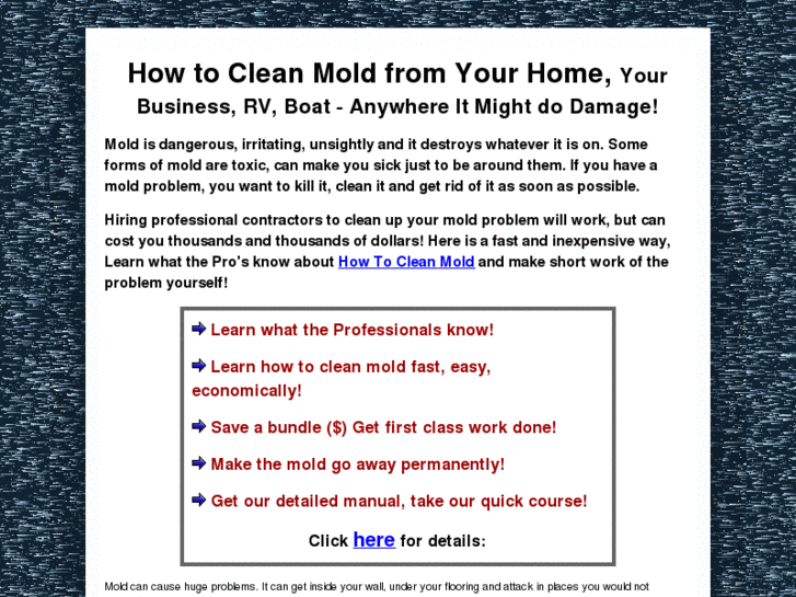 www.howtocleanmold.net
