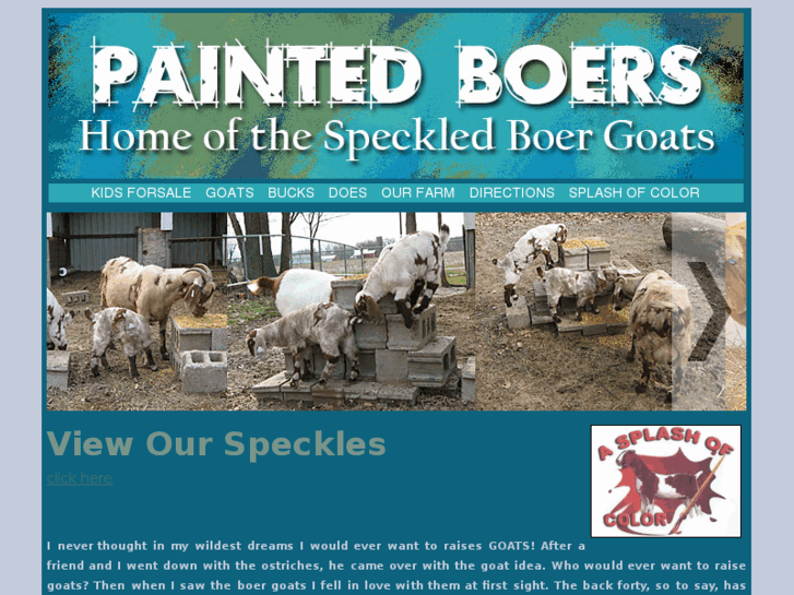 www.paintedboers.com