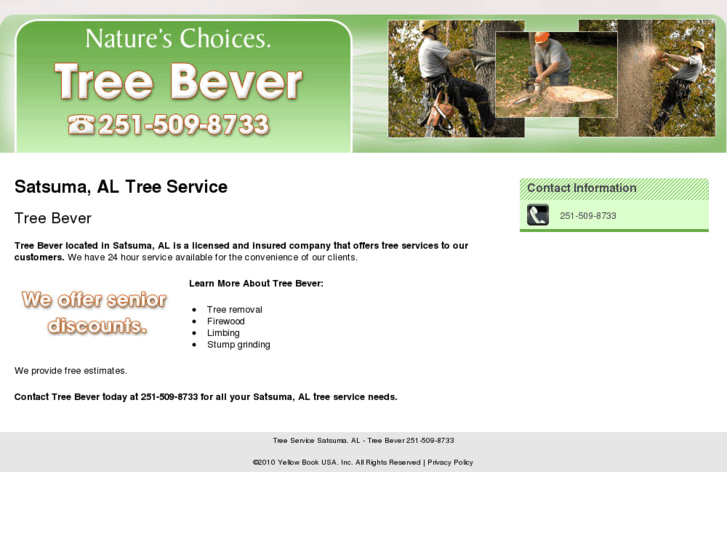 www.treebeavertreeservice.com