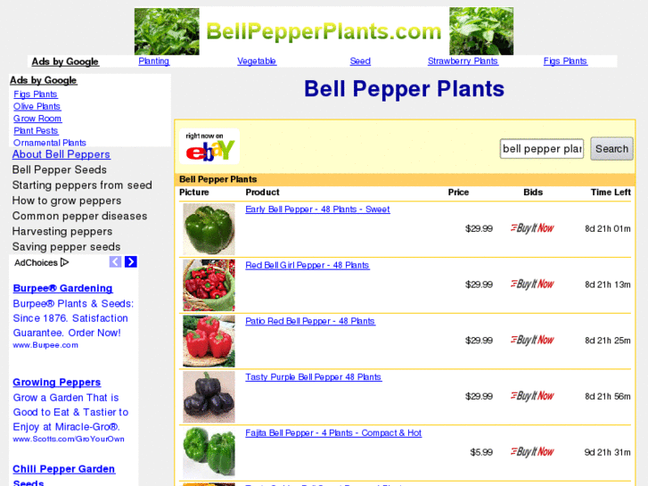 www.bellpepperplants.com