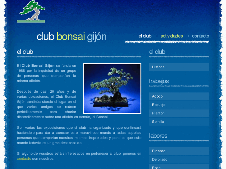 www.clubbonsaigijon.org