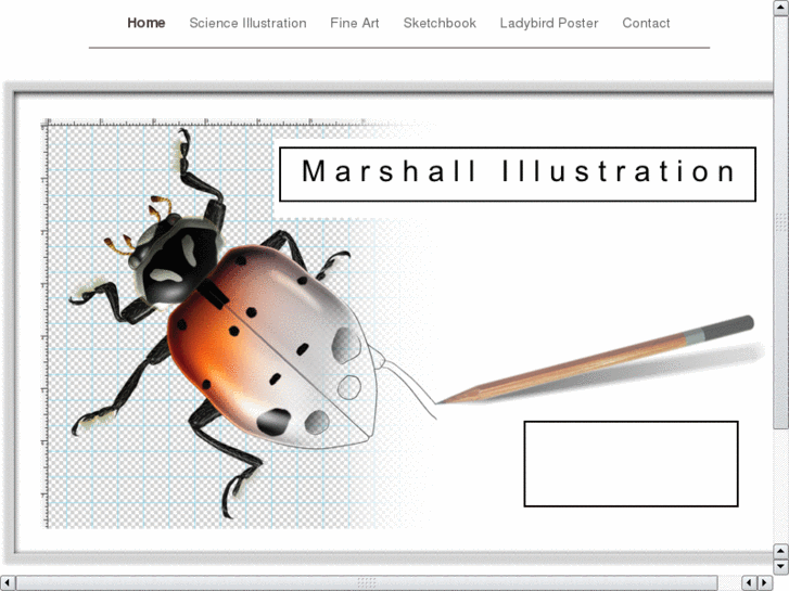 www.marshallillustration.com