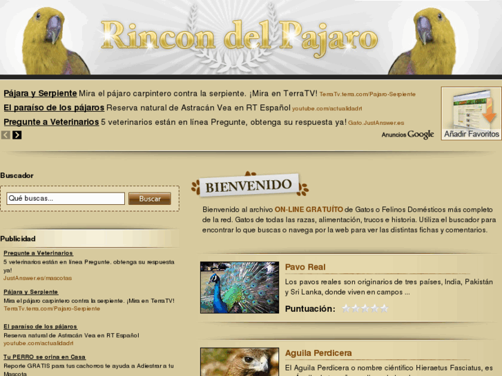 www.rincondelpajaro.com