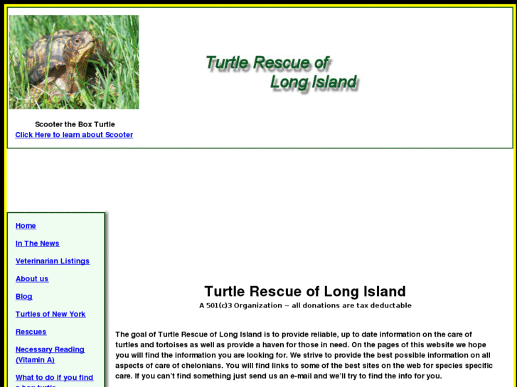 www.turtlerescues.com