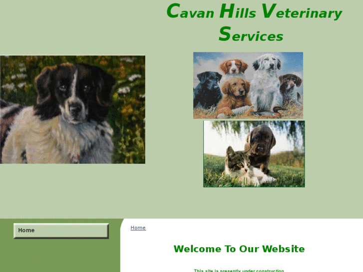 www.cavanhillsvet.com