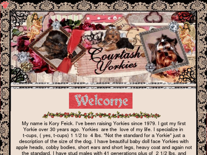 www.courtashyorkies.com