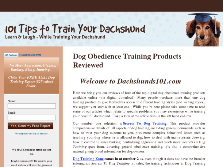 www.dachshunds101.com