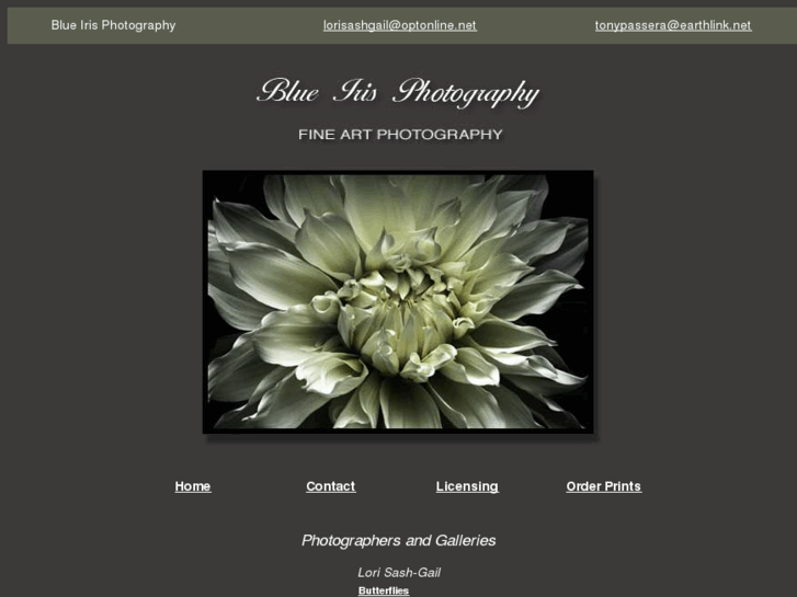 www.blueirisphotography.com