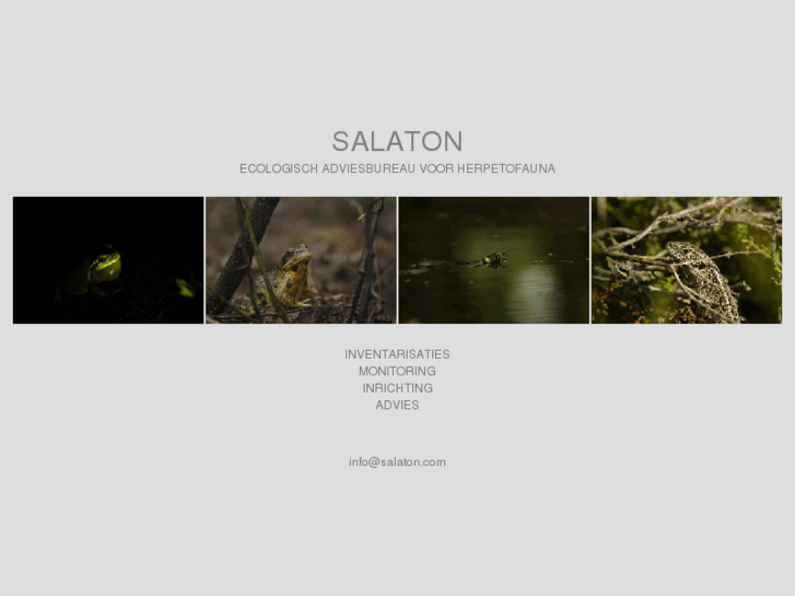 www.salaton.com