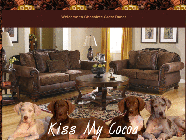 www.chocolategreatdanes.com