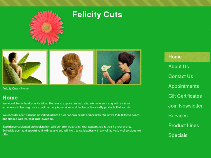 www.felicitycutsva.com
