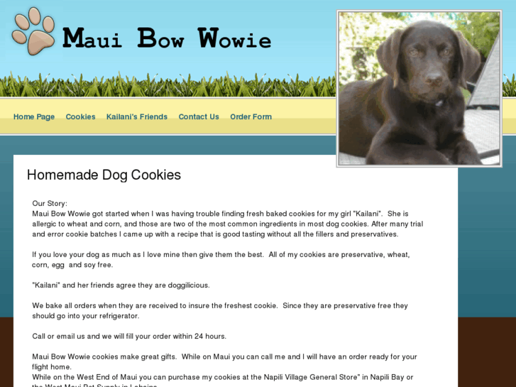 www.mauibowwowie.com