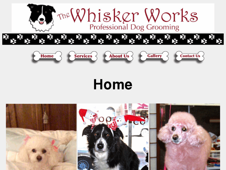 www.thewhiskerworks.com