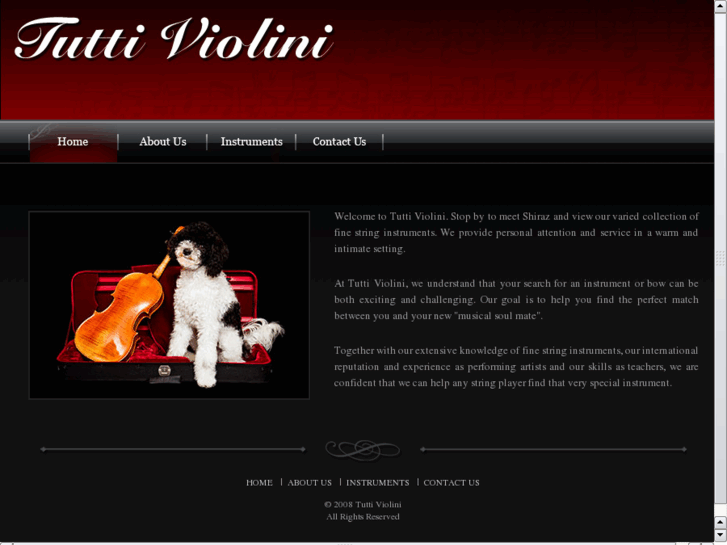 www.tuttiviolini.com