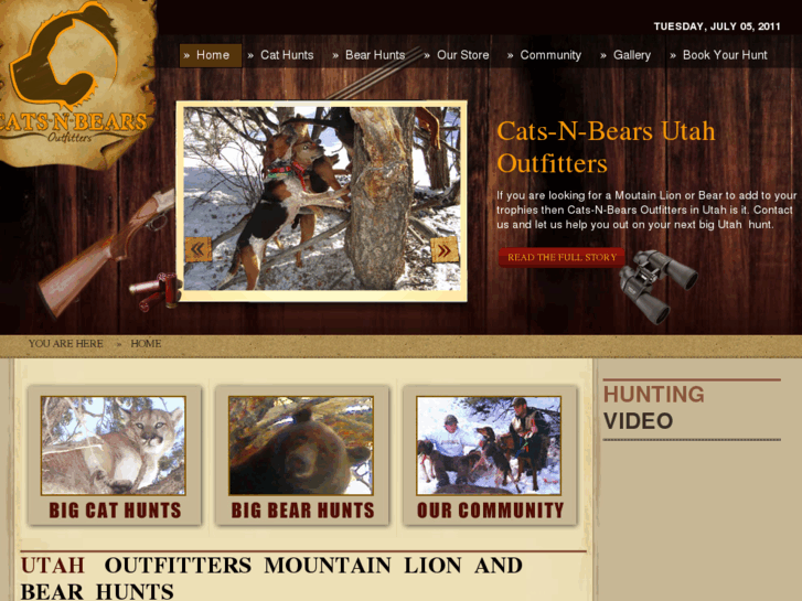 www.catsnbears.com