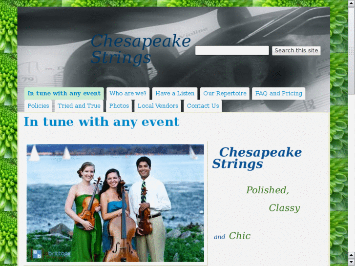 www.chesapeake-strings.com