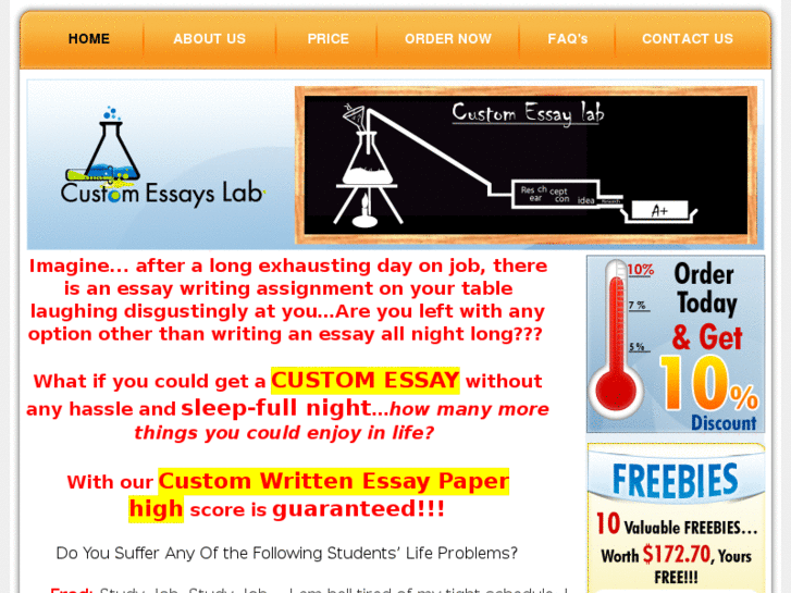 www.custom-essays-lab.com