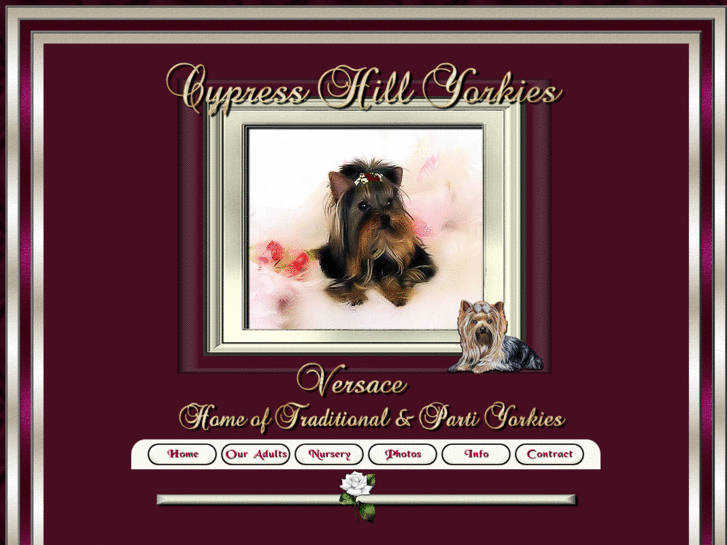 www.cypresshillyorkies.net