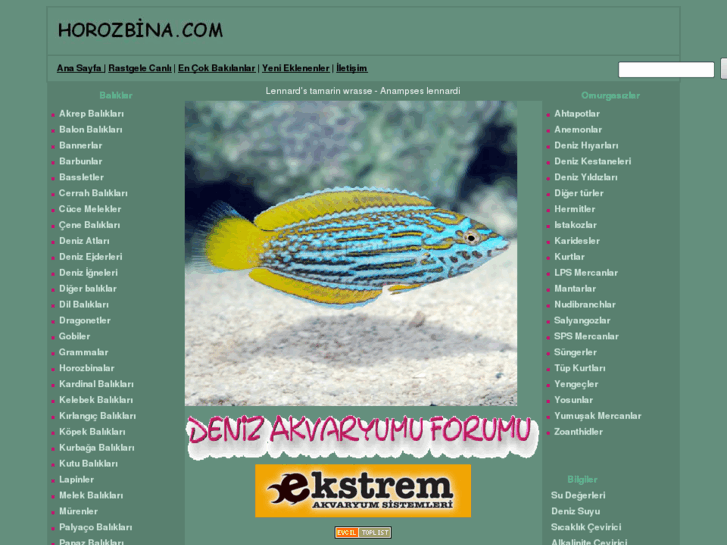 www.horozbina.com