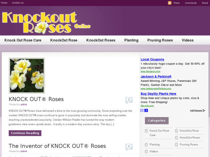 www.knockoutrosesonline.com