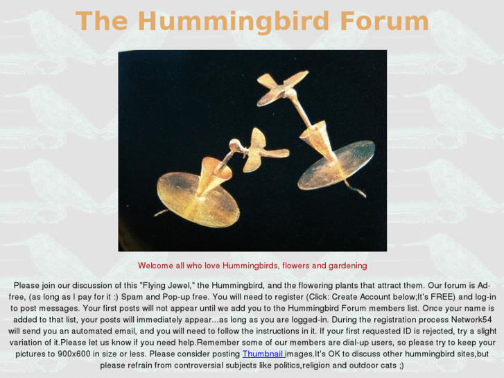 www.lovehummingbirds.com